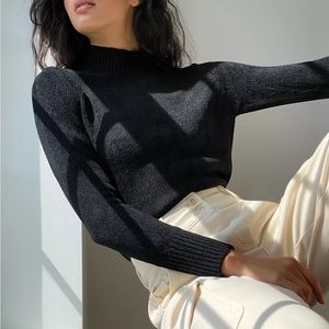 Wilfred Chenille Turtleneck S